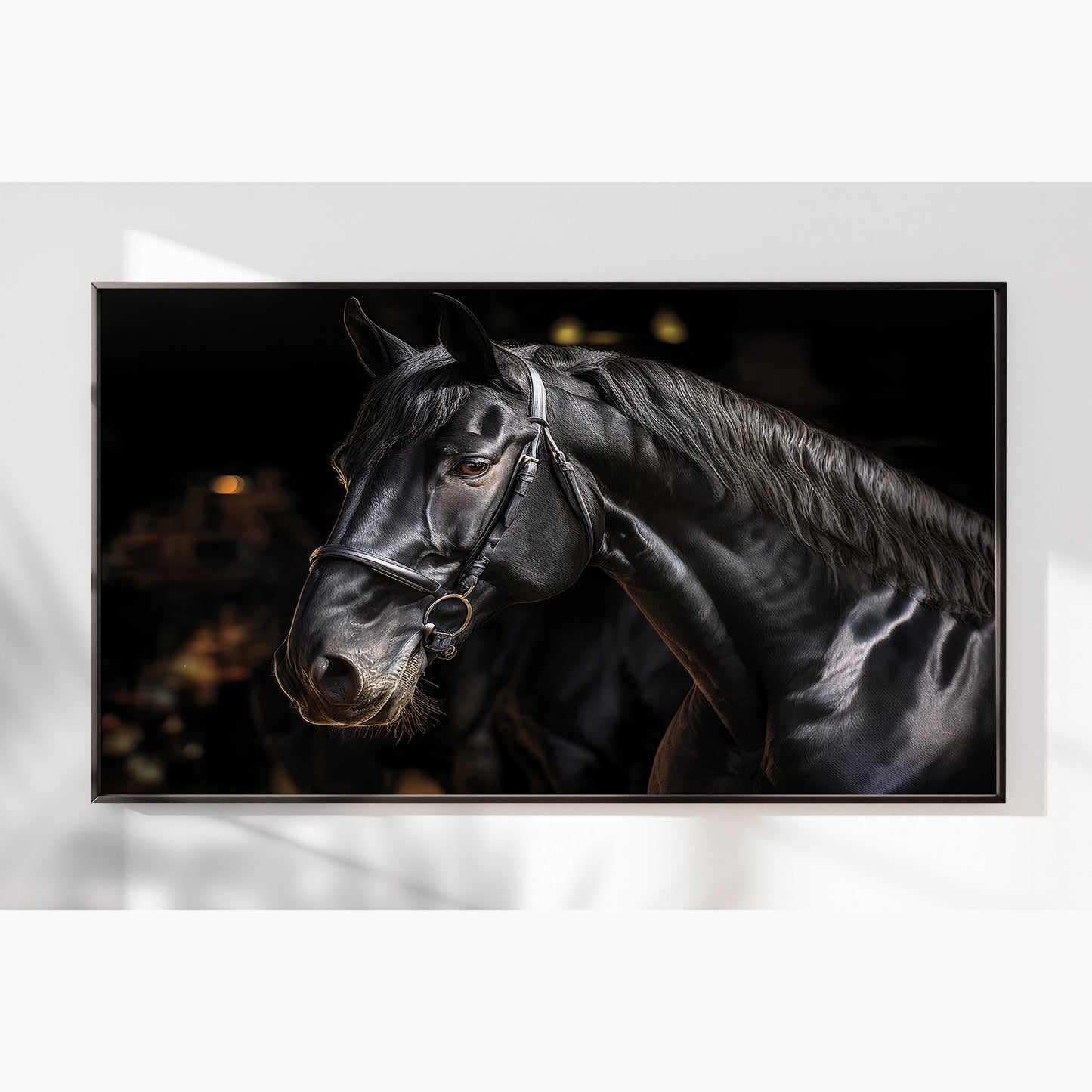 Noble Gaze – Black Percheron in Warm Light