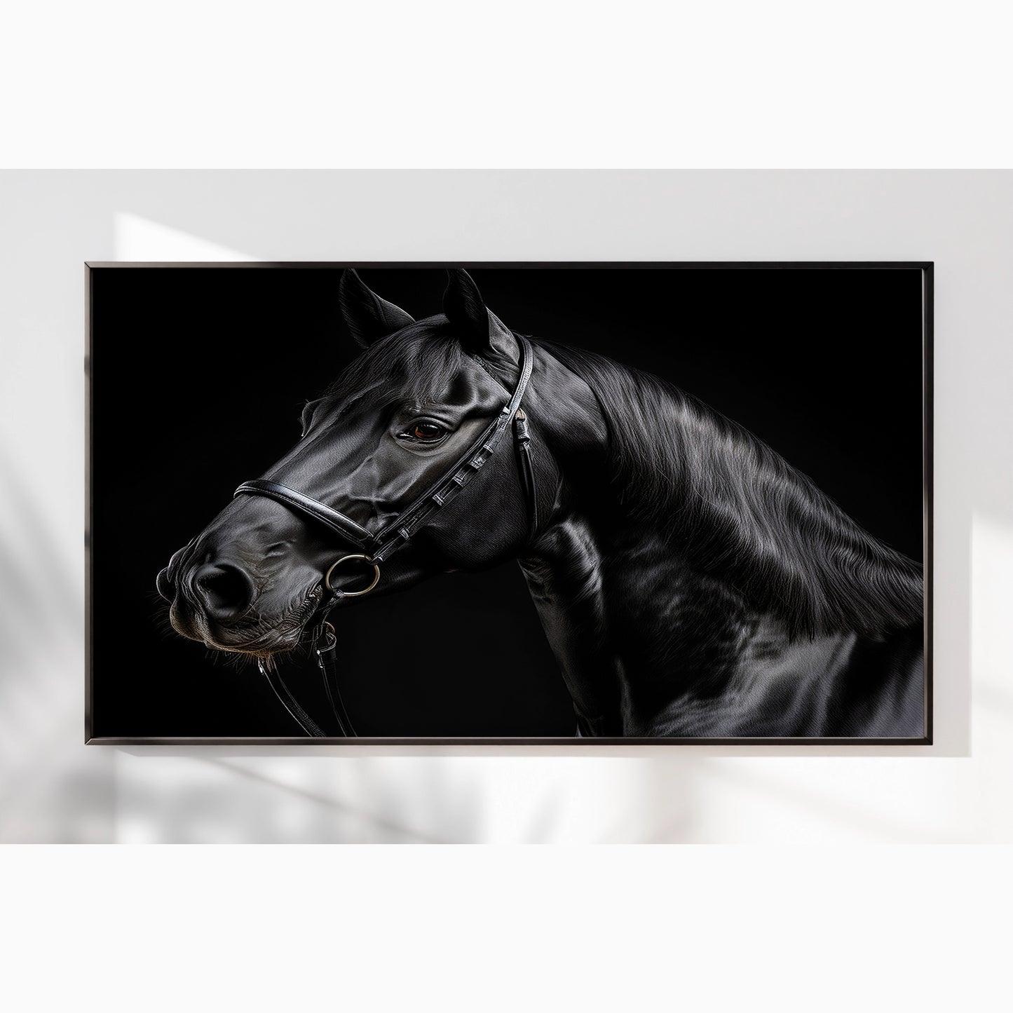Midnight Elegance β Close-Up of Black Percheron Horse
