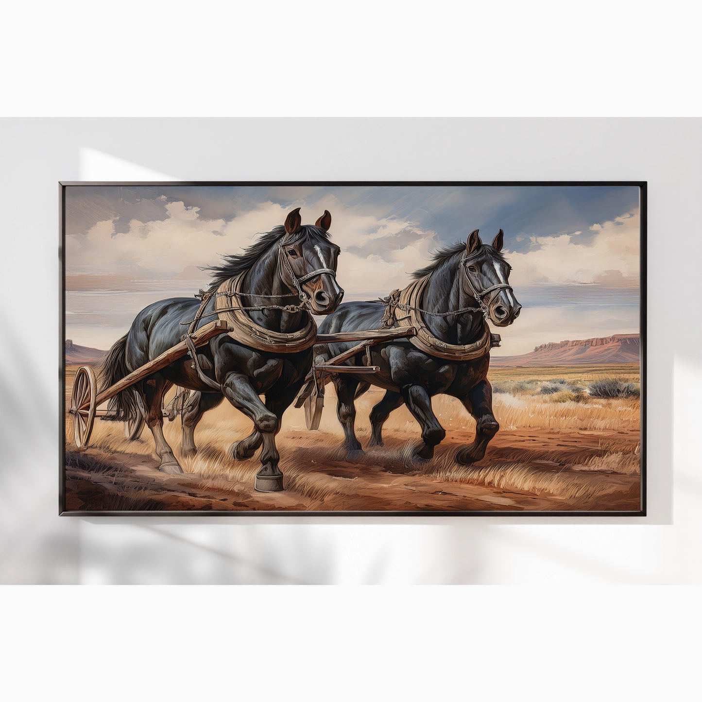 Legacy in Motion – Percheron Drafts on the Frontier