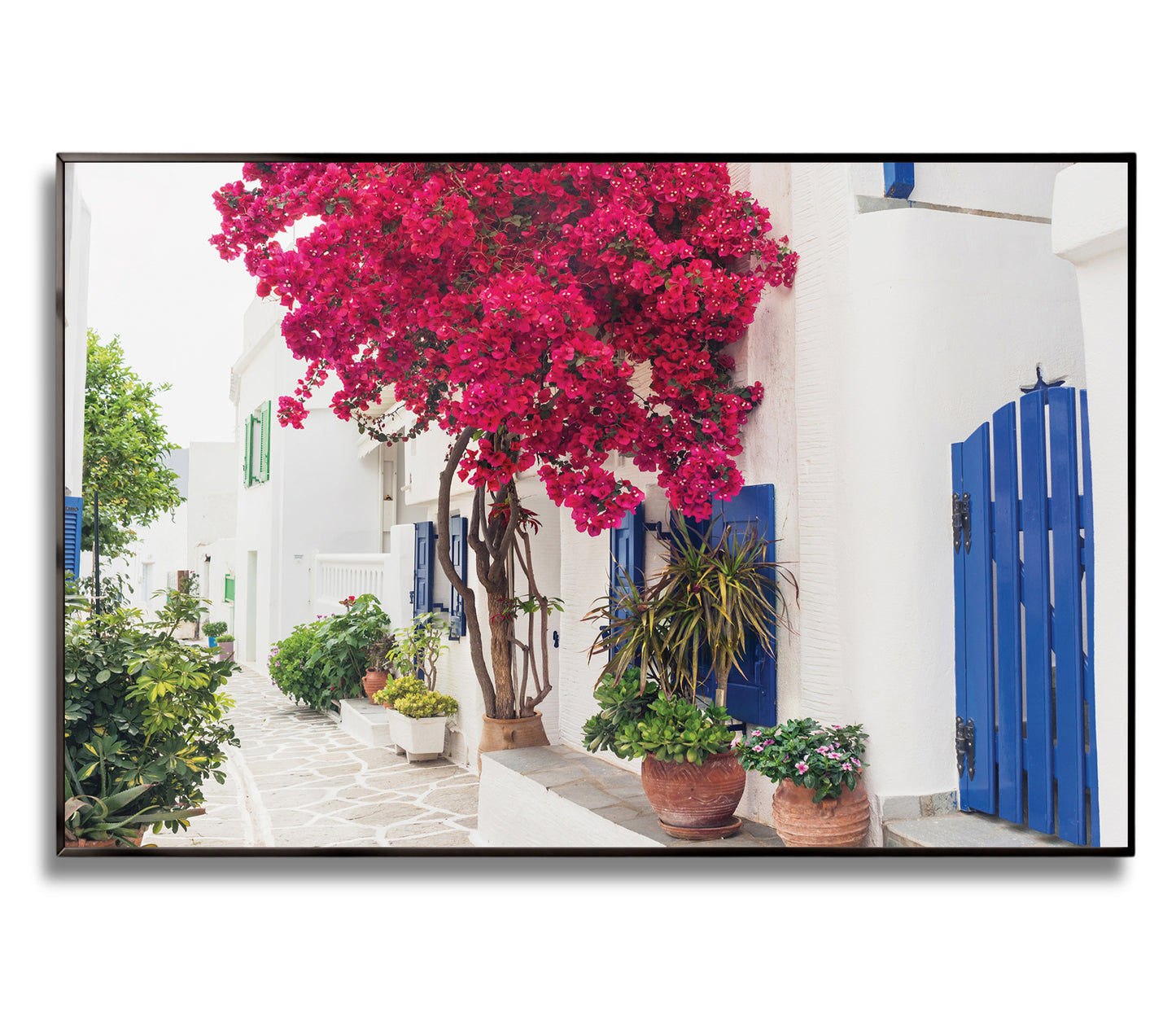 Cycladic Bloom – Bougainvillea Street Wall Art, Greek Island Floral Escape