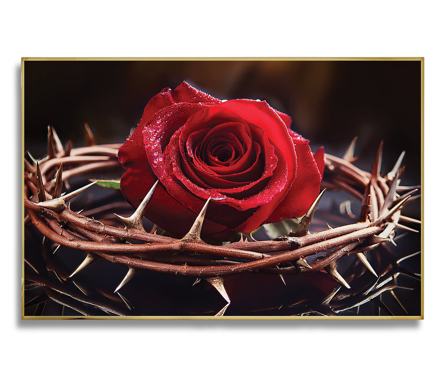 Red rose in a crown of thorns on a dark background