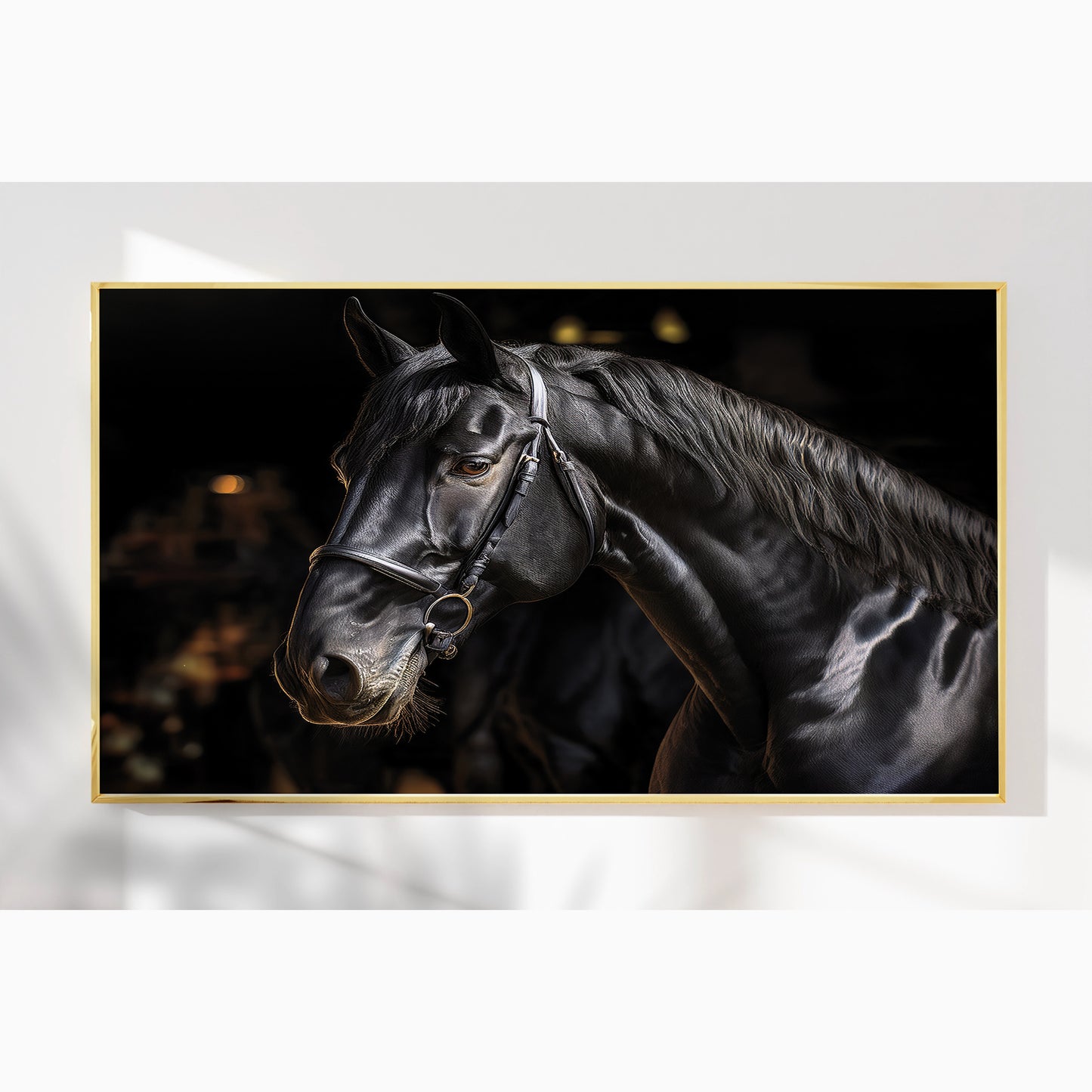 Noble Gaze – Black Percheron in Warm Light