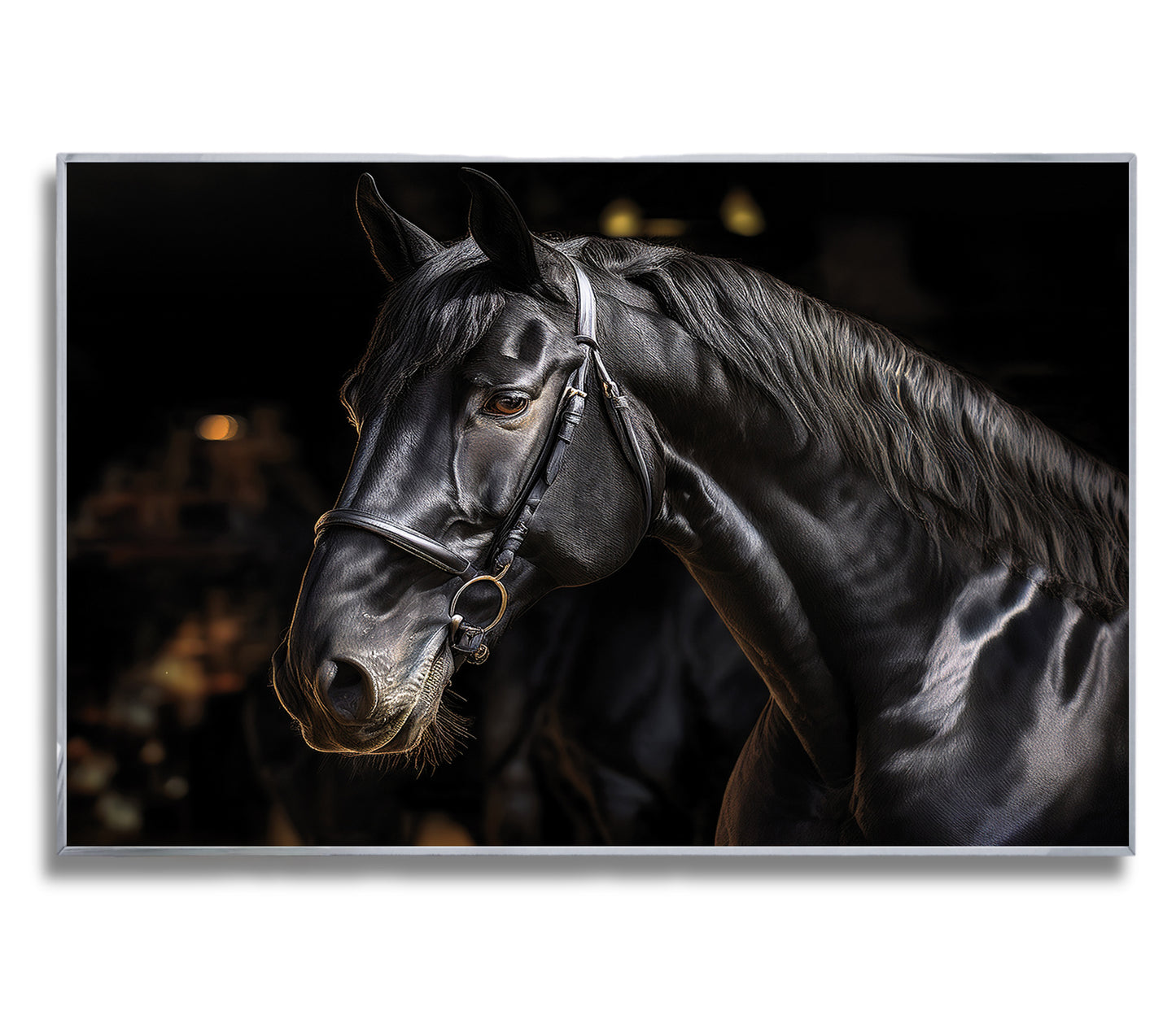 Noble Gaze – Black Percheron in Warm Light