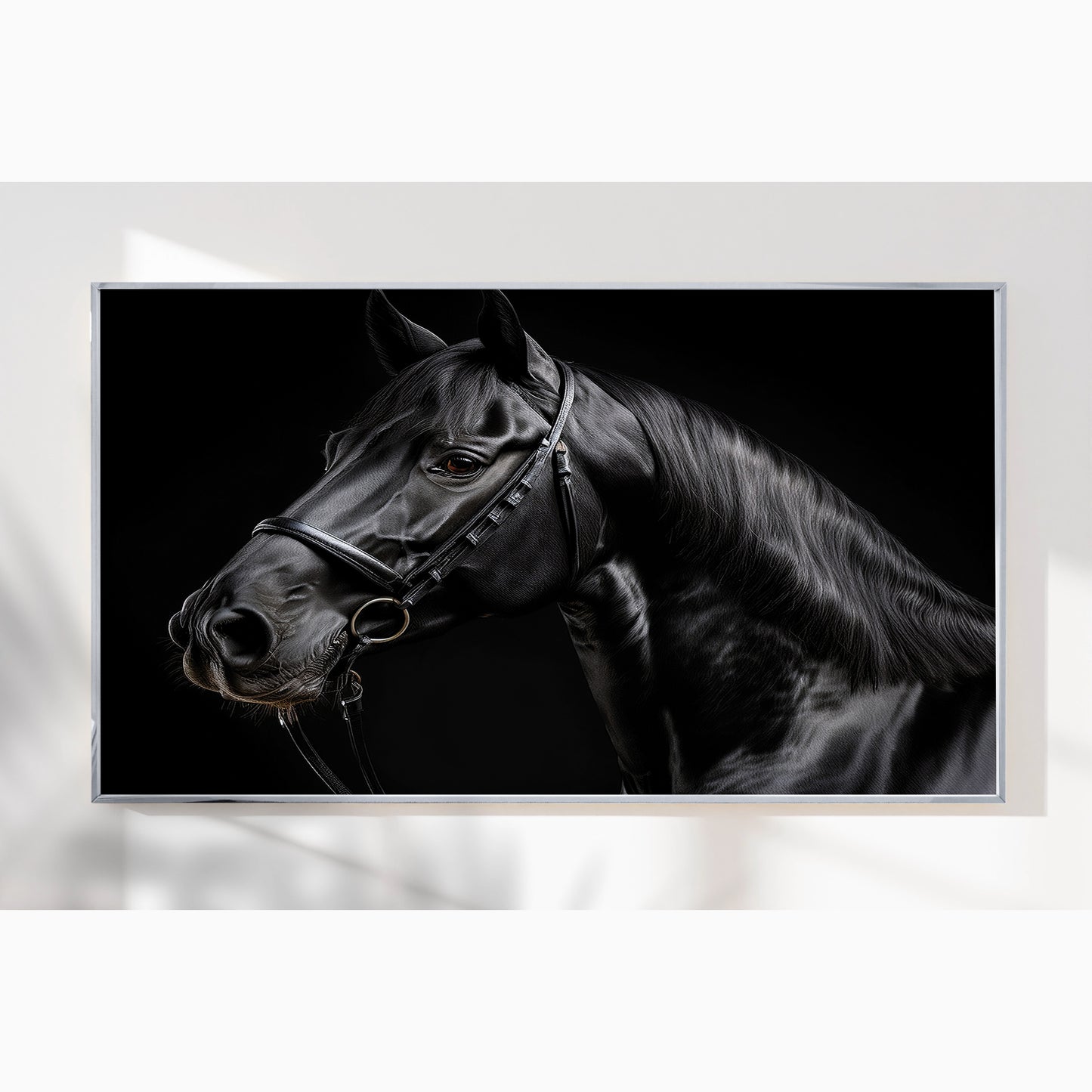 Midnight Elegance β Close-Up of Black Percheron Horse