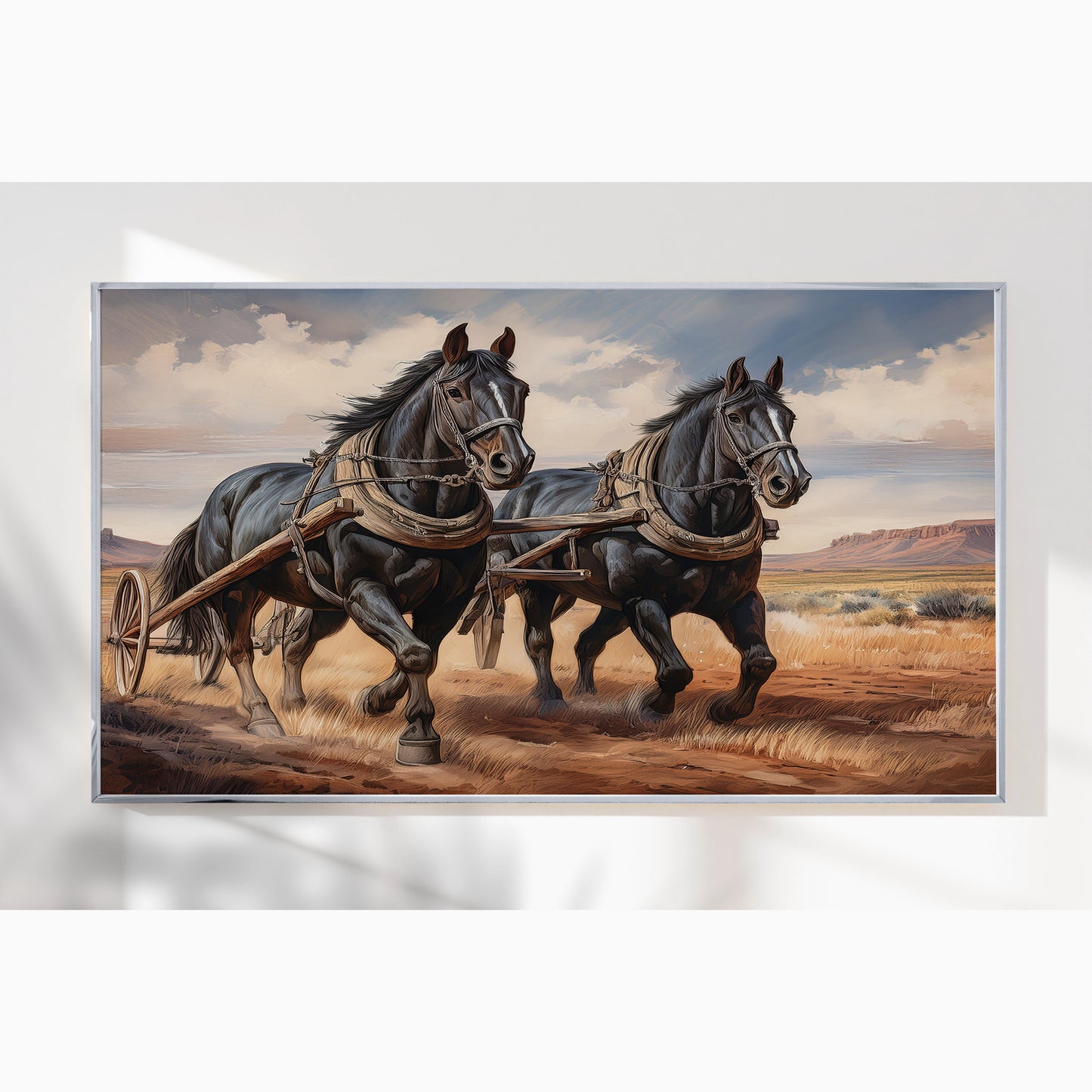 Legacy in Motion – Percheron Drafts on the Frontier
