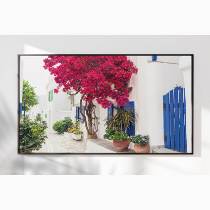 Cycladic Bloom – Bougainvillea Street Wall Art, Greek Island Floral Escape