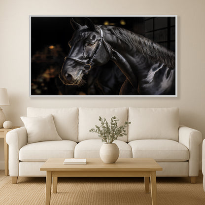 Noble Gaze – Black Percheron in Warm Light