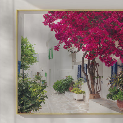 Cycladic Bloom – Bougainvillea Street Wall Art, Greek Island Floral Escape