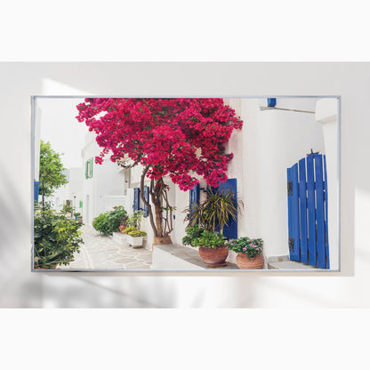 Cycladic Bloom – Bougainvillea Street Wall Art, Greek Island Floral Escape