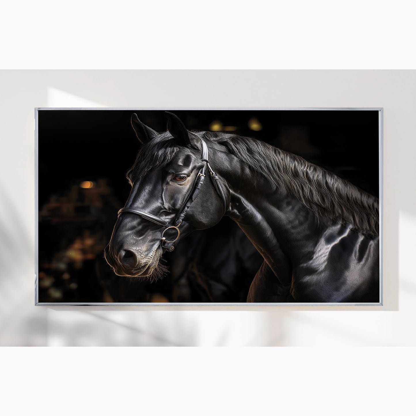 Noble Gaze – Black Percheron in Warm Light
